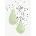 Pikkukuva 2 / 2: Wen Pears MultiColor 70x100 cm
