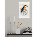 Miniatyrbillede 2 af 2: Tukan (Ramphastos) MultiColor 30x40 cm