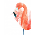 Miniatyrbillede 1 af 2: Pink Lady MultiColor 50x70 cm