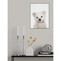 Pikkukuva 2 / 2: Peekaboo Baby Polar Bear MultiColor 50x70 cm