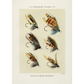 Pikkukuva 2 / 2: Salmon Fliee 1892 MultiColor 30x40 cm