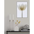 Miniatyrbild 2 av 2: Delicate Tulip MultiColor 50x70 cm
