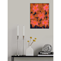 Pikkukuva 2 / 2: Jättiläiskukat MultiColor 50x70 cm