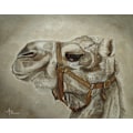 Miniatyrbild 1 av 2: Camel Portrait MultiColor 21x30 cm
