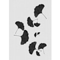 Miniatyrbild 1 av 2: Ginkgo Leaf Black A White I MultiColor 21x30 cm