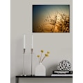 Miniatyrbild 1 av 2: Tender Is The Night MultiColor 21x30 cm