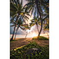 Miniatyrbild 1 av 2: Vertical Paradise MultiColor 30x40 cm