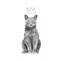 Miniatyrbillede 1 af 2: King Of Everything MultiColor 50x70 cm
