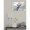 Miniatyrbillede 2 af 2: Giraffen - Wildlife V MultiColor 70x100 cm