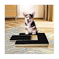 Miniatyrbild 2 av 5: Klossträningsbräda för hundklor - Filtrimmerbräda Trimming Scratcher Box Emery Sandpapper Filing Scratch