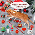 Miniatyrbilde 3 av 5: Julekalender Blindboks 2024, 24 Dagers Nedtelling til Jul, 24 stk. Julegaver Katt Fjær Teaser og Ball Klokker for Kattunger Leke