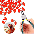 Miniatyrbild 1 av 4: Julklappskycklingglasögon, 100 stycken Anti-peck-glasögon, Plastkycklingglasögon, För bakgårdsfjäderfäuppfödning