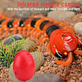 Miniatyrbild 2 av 5: Infraröd RC-fjärrstyrd tusenfoting Scolopendra Leksaker för barn