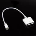 Apple Lightning till 30-stifts adapterkabel för iPhone 5/iPod Touch 5/iPod Nano 7/iPad Mini (22cm)