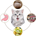 Miniatyrbild 4 av 4: Kattmynta Stick, Tuggstickor För Katter, 2 Stycken Tandkatter, Kattgräs