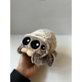Miniatyrbillede 4 af 5: Jud- Spider Lucas ven Bzzzz Plyslegetøj Lille spindedokke Muppet dukke Lucas spindel