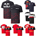 Miniatyrbild 2 av 7: Oracle Red Bull Racing Officiell Team T-shirt med Korta Ärmar för Män 2024 B 2XL