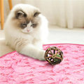 Miniatyrbild 4 av 8: 2 i 1 Simulerad Interaktiv Jakt Huva Katt Träning Leksaker Pink