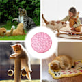 Miniatyrbild 8 av 8: 2 i 1 Simulerad Interaktiv Jakt Huva Katt Träning Leksaker Pink