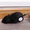Miniatyrbillede 4 af 5: Kæledyr Legetøj, Sjovt Urværk Legetøj, Plys Mus Legetøj Vind Op Legetøj, Mekanisk