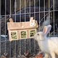 Miniatyrbillede 2 af 5: Kanin Høpose Foder - Hængende Sød Foderpose til Kanin Marsvin