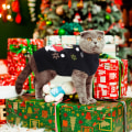 Miniatyrbild 4 av 5: Julhundtröjor Jul husdjurskläder Kläder Söta svarta snögubbe kostym Valp katt stickade tröjor (M, Svart snögubbe)