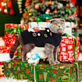 Miniatyrbillede 4 af 5: Julehundetrøjer Jule kæledyr outfit tøj sød sort snemand kostume hvalp kat strikkede trøjer (M, sort snemand)