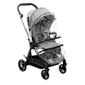 Miniatyrbild 6 av 6: CHICCO One4Ever Silverleaf kompakt vagn - Stadsvagn - Unisex - 0 månader - Födelse - Grå