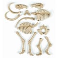 Miniatyrbild 5 av 6: CLEMENTONI Archéo Ludic - Fosforescerande mammut - Science & Game