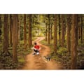 Miniatyrbild 5 av 5: LEXIBOOK - RC Velociraptor - Remote Control Simulation Dinosaur - Engelska