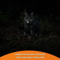 Miniatyrbild 5 av 6: GPS Tracker för chatt - Weenect XS (White Edition 2023)