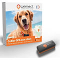 Miniatyrbild 1 av 6: GPS Tracker for Dogs - Weenect XS (Black Edition 2023)