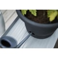 Miniatyrbild 5 av 6: ELHO Green Basics tomatkruka - 33 cm - Ljus svart
