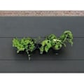 Miniatyrbild 6 av 6: Väggkruka - Väggsats bestående av ett väggstöd och 4 krukor (1 L) - Svart - Dim H 15 x L 60 cm - NATUR