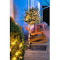 Miniatyrbild 2 av 3: GALIX G4430 solgarland - 150 varma vita MicroLEDs - 16,4 m