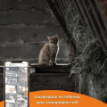 Miniatyrbild 4 av 6: GPS Tracker för chatt - Weenect XS (Black Edition 2023)