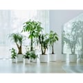 Miniatyrbild 5 av 5: ELHO B.for Soft Rund blomkruka 35 - Vit - Ø 35 x H 32 cm - inredning - 100% återvunnen