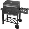 Kolgrill - Fieldmann - FZG 1008