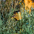 Miniatyrbild 3 av 5: Dekorativ LED-solfyr att plantera - LUMISKY - ARROSY - H78 cm - Vattenkannas form
