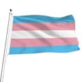 Miniatyrbillede 1 af 5: 90*150cm Transkønnet Flag