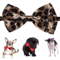 Miniatyrbild 1 av 2: Fluga till hund leopard