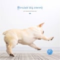 Miniatyrbild 6 av 6: Pet Toy TPR Strange Call Ball, resistent mot tuggning, Orange