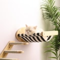 Miniatyrbild 2 av 5: Cat Hängmatta Väggmonterad Stor Cats Hylla (Storlek 3)