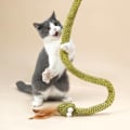 Miniatyrbild 6 av 6: Kattleksak Orm retande kattpinne, retande kattartefakt