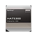 Pikkukuva 1 / 3: Synology HAT5300-4T 3,5" 4 TB kiintolevy