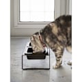 Miniatyrbillede 3 af 5: Dobbelt forhøjet skål design til kat Tower sort Svart