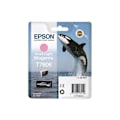 Pikkukuva 1 / 3: EPSON T7606 Viv Light MG