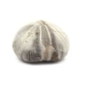 Miniatyrbillede 2 af 2: Sten og mineraler. Fossil søpindsvin, Toxaster Amplus. 133,0 øre. Claix, Isère, Frankrig.