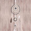 Miniatyrbillede 3 af 4: Træskiver - Rayher - Drøm filigran - 7 til 18 cm - 3 mm tykkelse - Dekorative genstande Beige