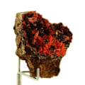 Miniatyrbillede 1 af 4: Sten og mineraler. Crocoite.179,5 ct. Adelaide Mine, Dundas, Tasmanien, Australien.